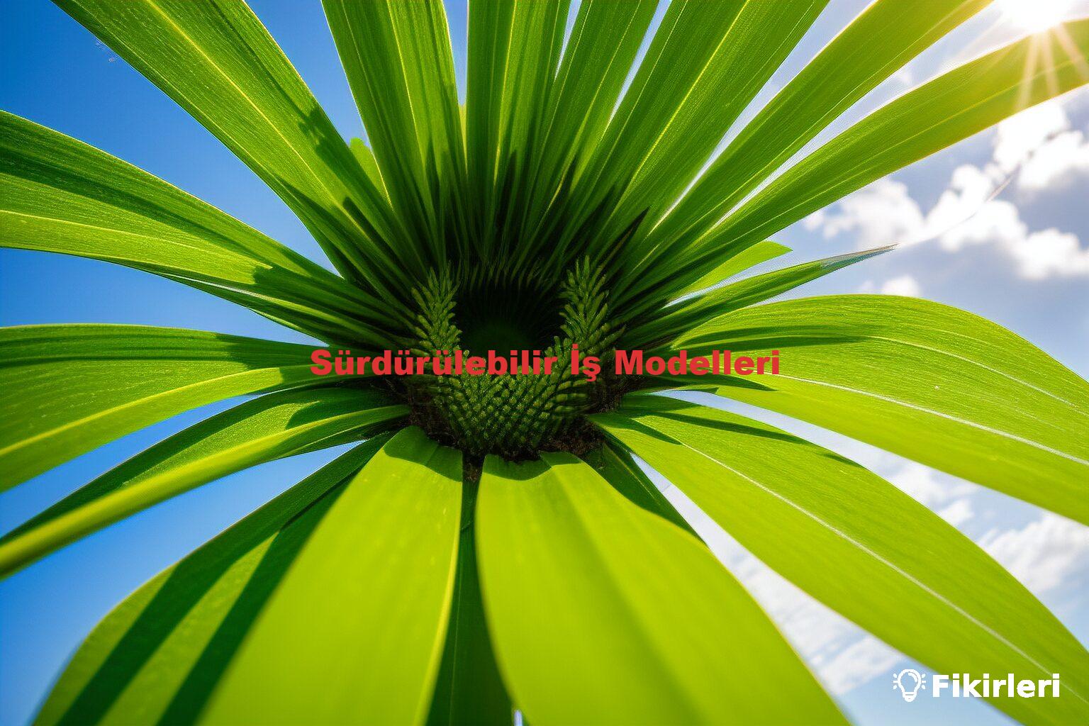 Sürdürülebilir İş Modelleri