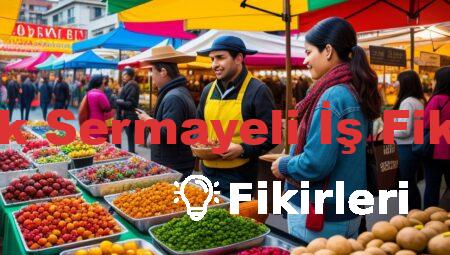 Düşük Sermayeli İş Fikirleri