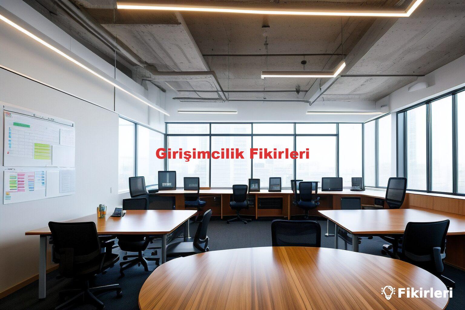 Girişimcilik Fikirleri