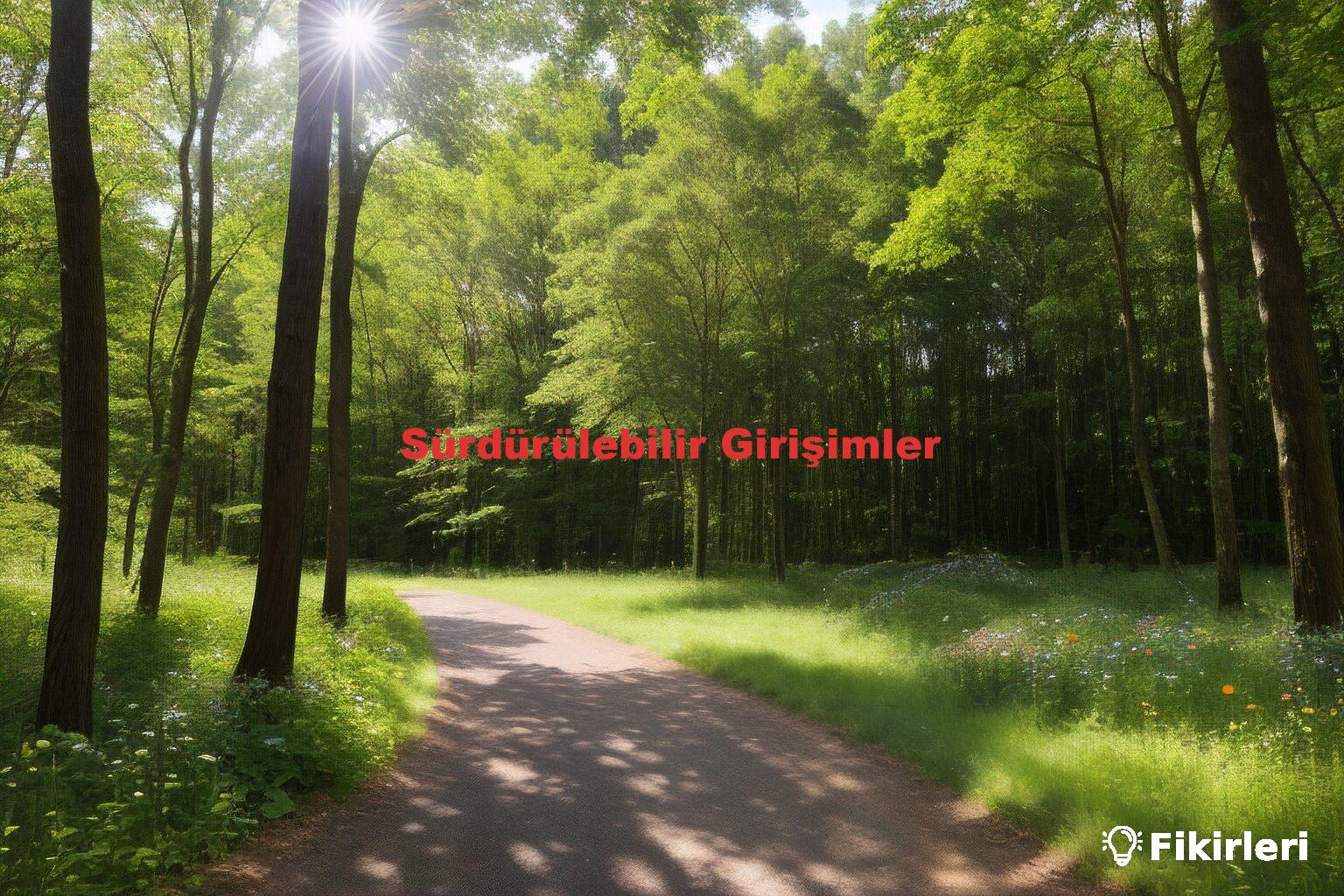 Sürdürülebilir Girişimler