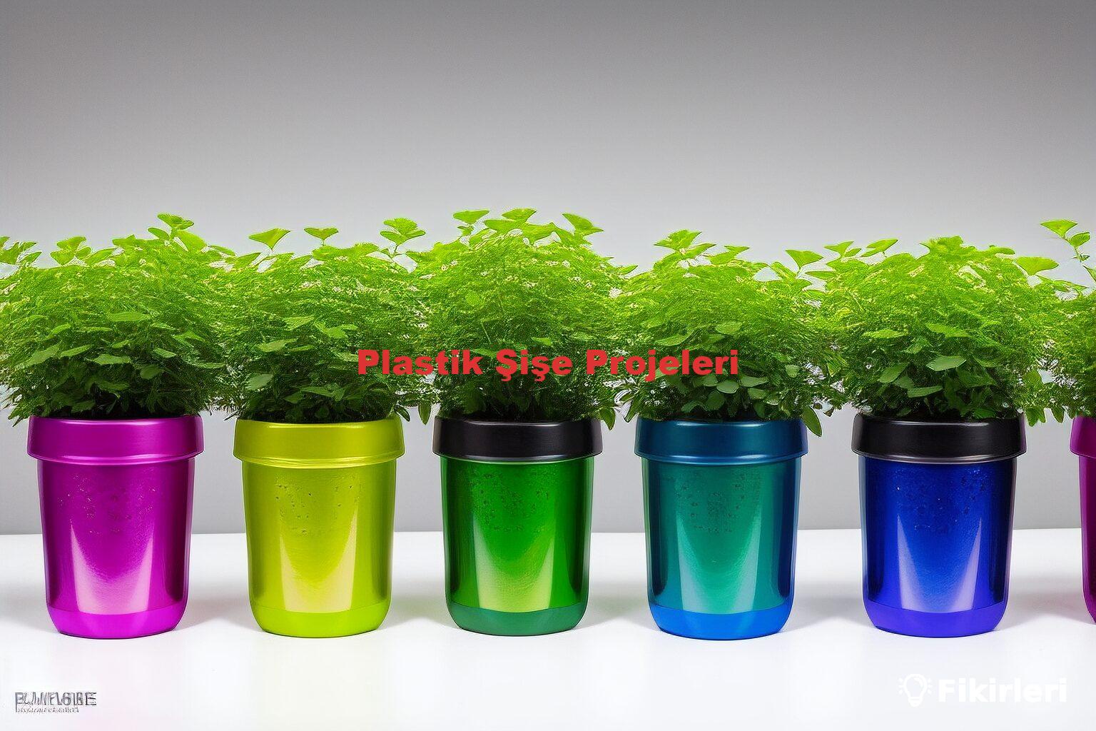 Plastik Şişe Projeleri