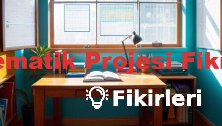Matematik Projesi Fikirleri