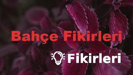 Bahçe Fikirleri