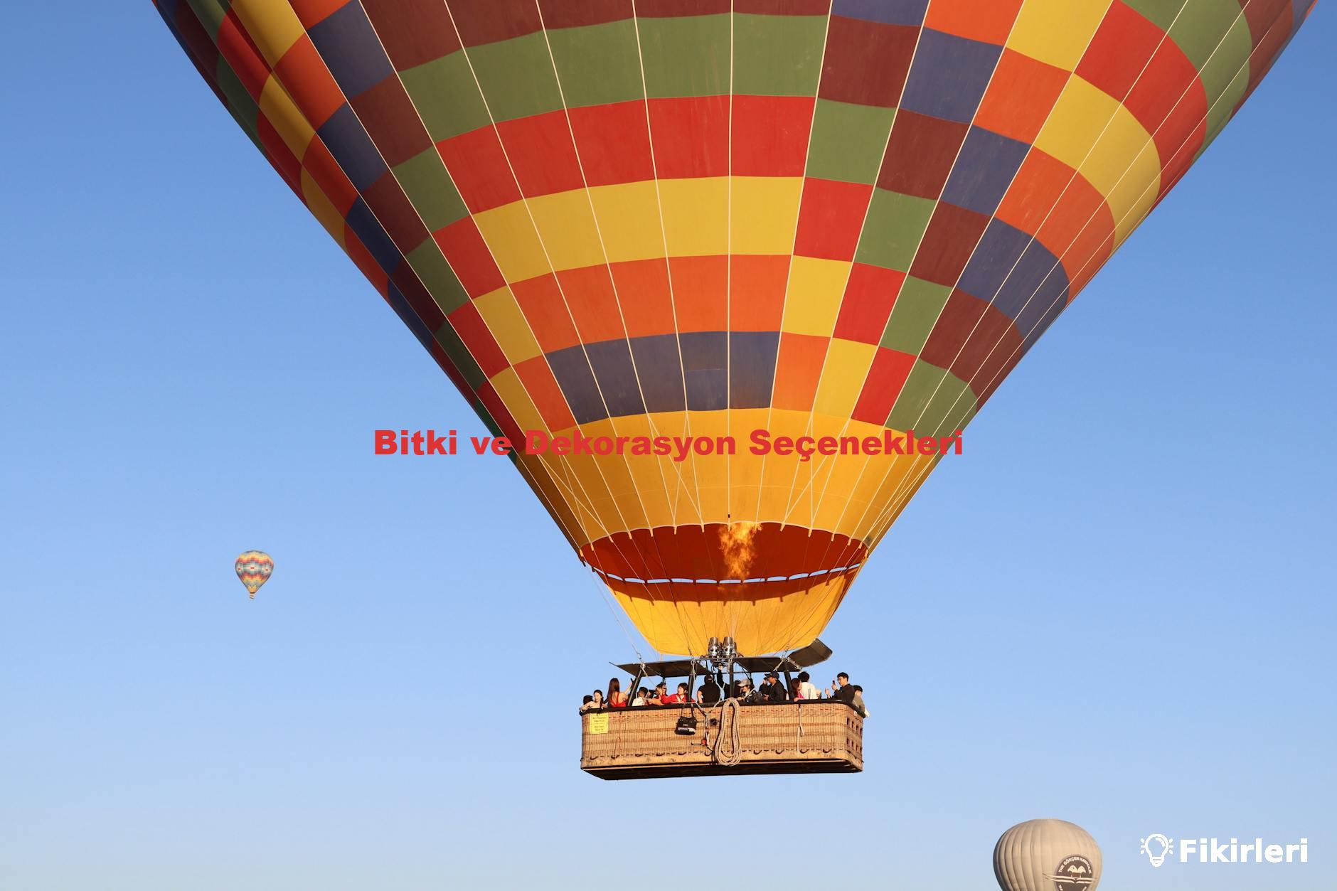 Bitki ve Dekorasyon Seçenekleri