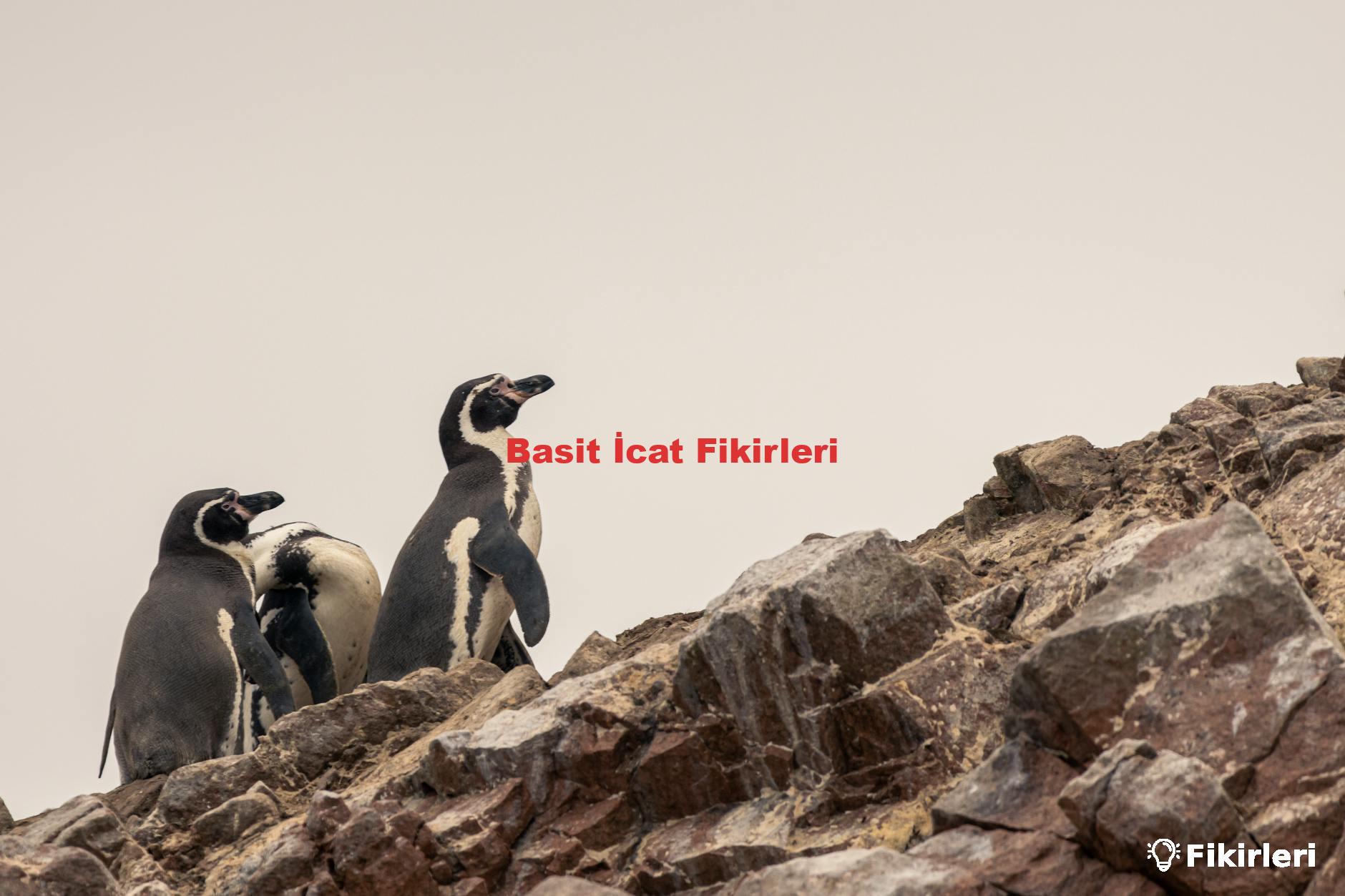 Basit İcat Fikirleri