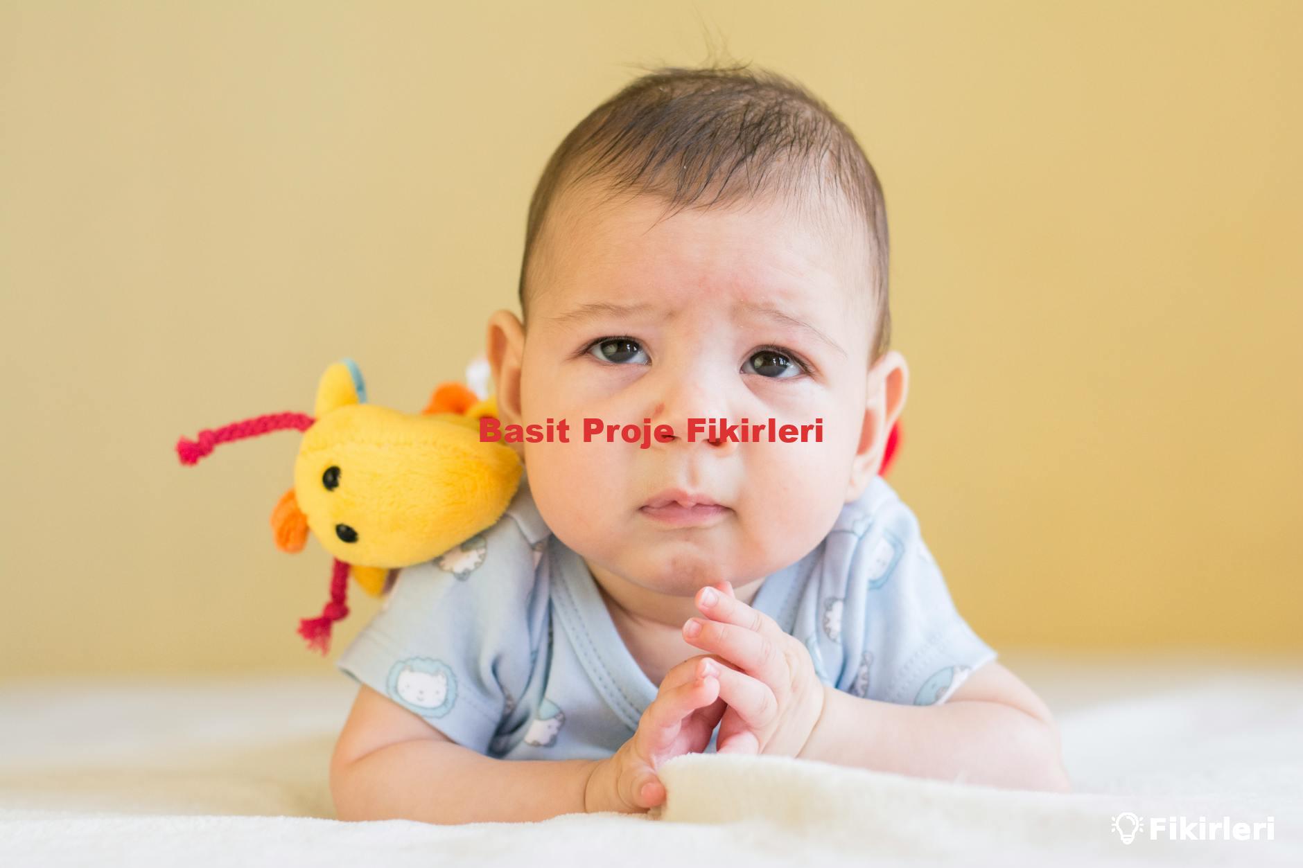 Basit Proje Fikirleri