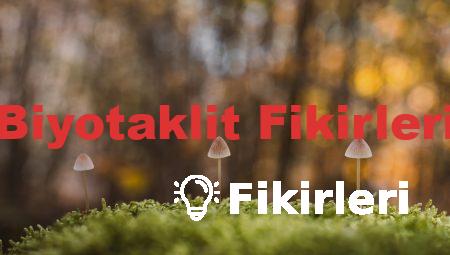 Biyotaklit Fikirleri