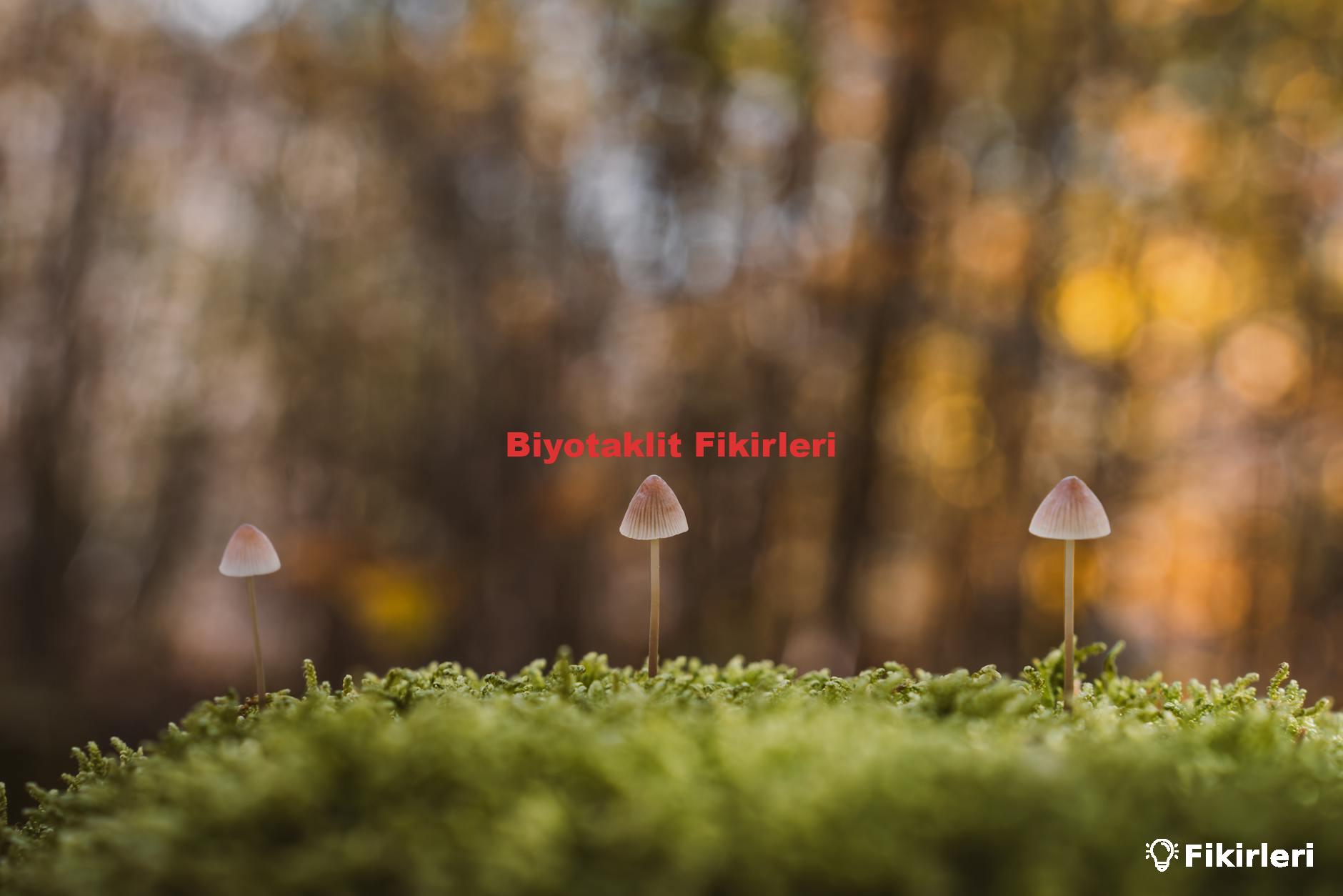 Biyotaklit Fikirleri