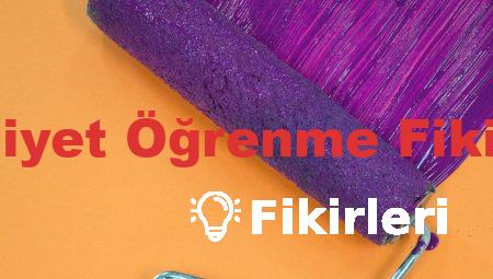 Cinsiyet Öğrenme Fikirleri