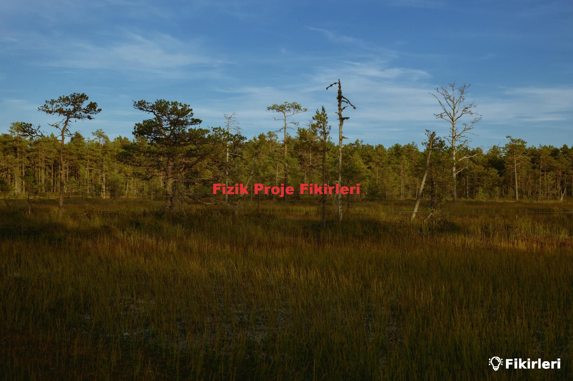 Fizik Proje Fikirleri