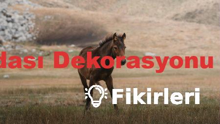 Genç Odası Dekorasyonu Fikirleri