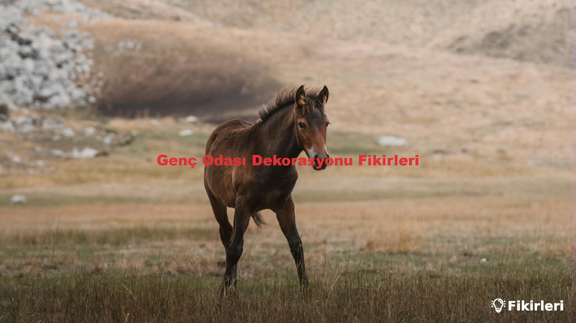 Genç Odası Dekorasyonu Fikirleri