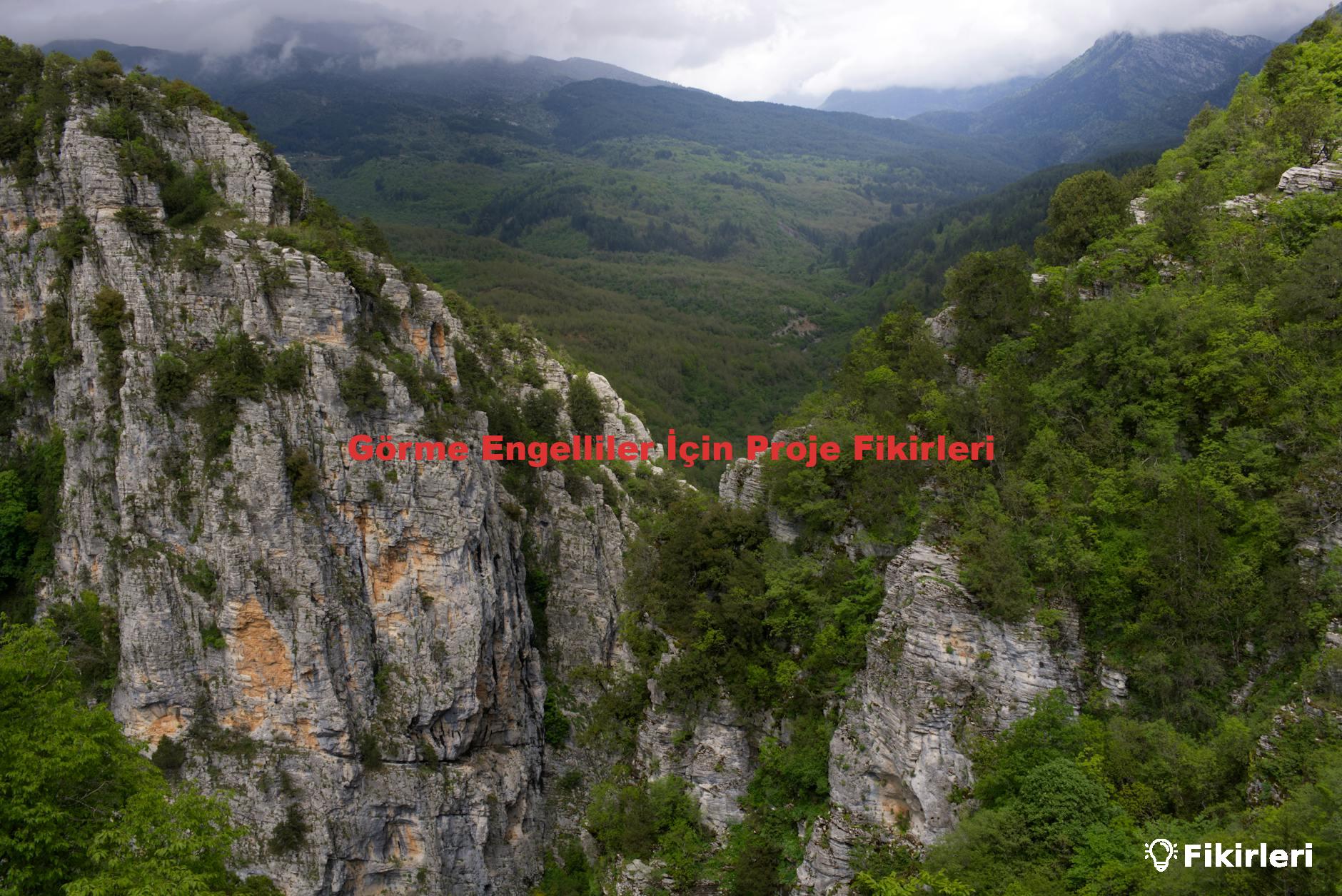 Görme Engelliler İçin Proje Fikirleri