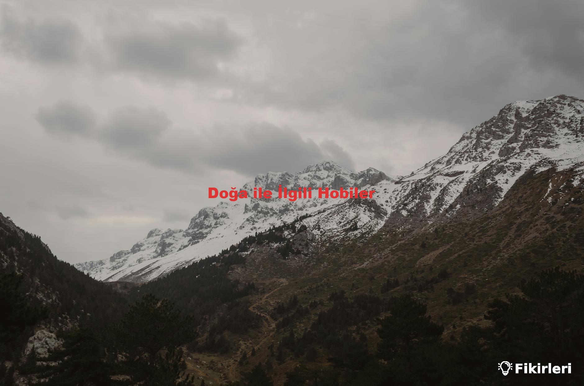 Doğa ile İlgili Hobiler