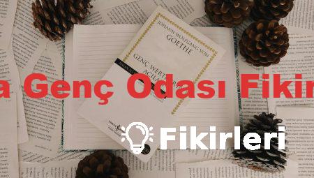 Ikea Genç Odası Fikirleri