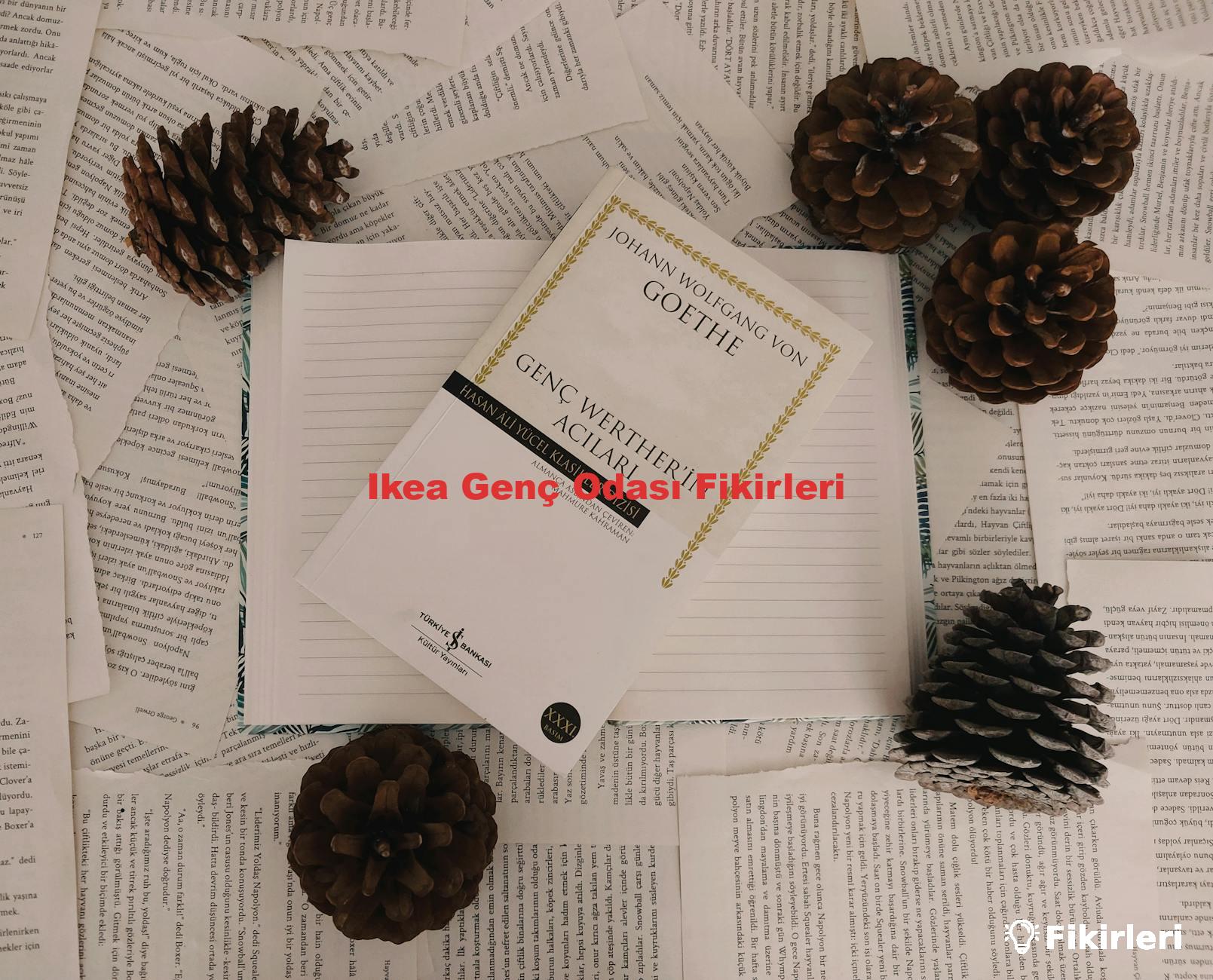 Ikea Genç Odası Fikirleri