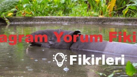 Instagram Yorum Fikirleri