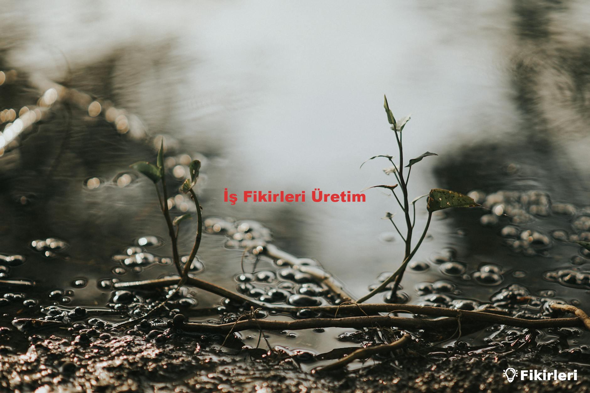 İş Fikirleri Üretim