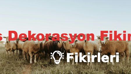 Ofis Dekorasyon Fikirleri