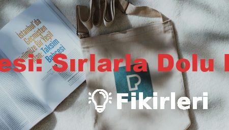 Gölge Bahçesi: Sırlarla Dolu Bir Yolculuk