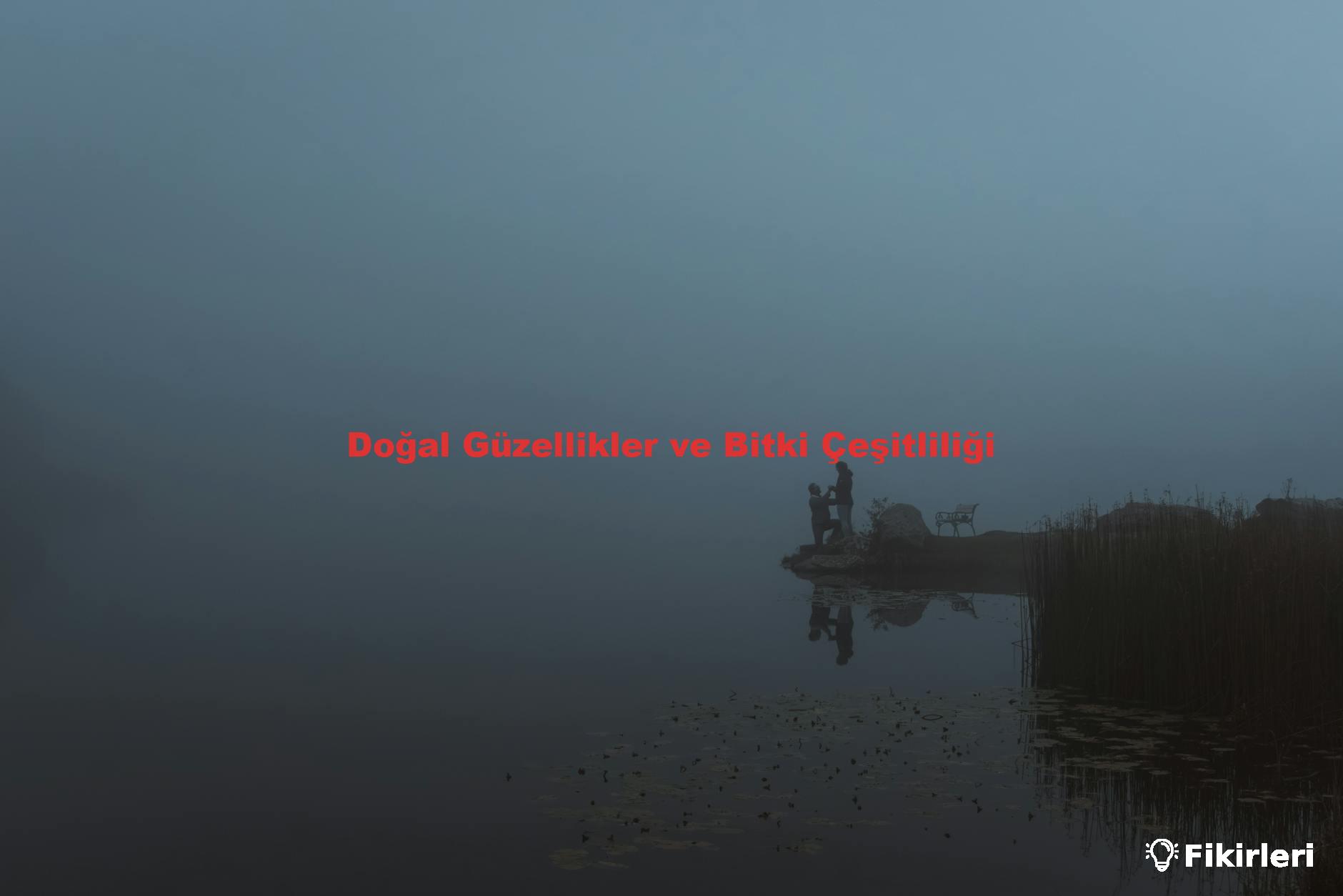 Doğal Güzellikler ve Bitki Çeşitliliği