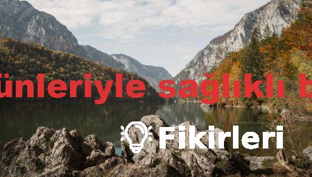 Doğal kozmetik ürünleriyle sağlıklı bir cilt için öneriler