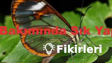 Oto Elektrik Bakımında Sık Yapılan Hatalar