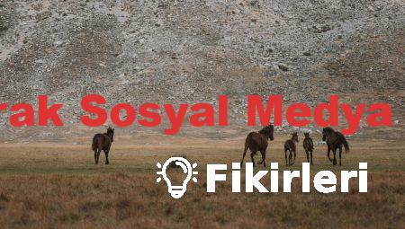 Takipçi Satın Alarak Sosyal Medya Stratejini Geliştir