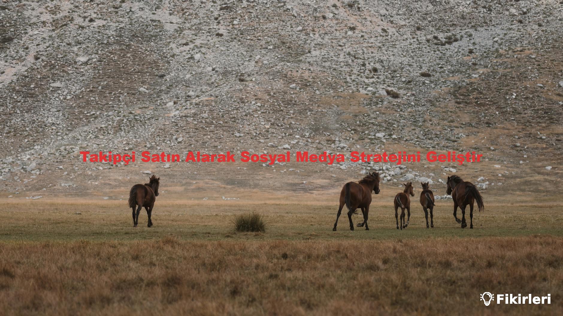 Takipçi Satın Alarak Sosyal Medya Stratejini Geliştir