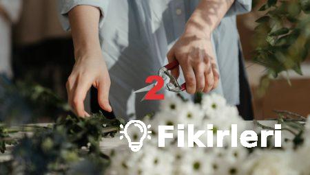 Aksaray Çiçeklerinin Anlamı: Hangi Çiçek Ne İçin?
